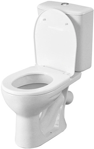 Унитаз-компакт Santeri Орион крап на белом 1.P400.8.S01.00B.F