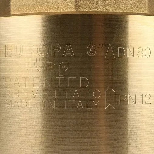 Клапан обратный пружинный 3&quot;в x 3&quot;в Itap Europa 1000300