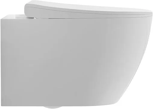Унитаз подвесной безободковый Aquatek Сириус Tornado белый AQ1582T-00