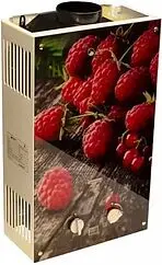 Водонагреватель проточный газовый WertRus 10EG_Berry Водонагреватель проточный газовый WertRus 10EG_Berry