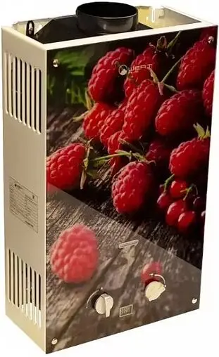 Водонагреватель проточный газовый WertRus 10EG_Berry (ягода)