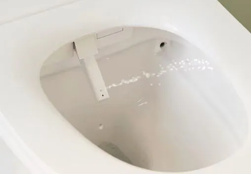 Умный унитаз-биде подвесной безободковый Jacob Delafon Seine Rimless белый E28072-00 Умный унитаз-биде подвесной безободковый Jacob Delafon Seine Rimless белый E28072-00