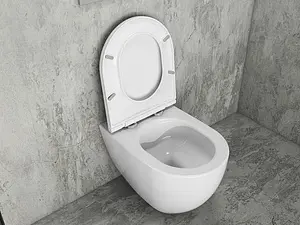 Крышка-сиденье для унитаза с микролифтом ISVEA F50 белый 40KF0200I-S, 4