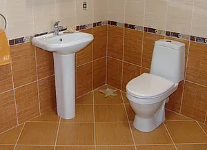 Унитаз-компакт Sanita Лада Стандарт белый WC.CC/Lada/1-P/WHT.G/S1 Унитаз-компакт Sanita Лада Стандарт белый WC.CC/Lada/1-P/WHT.G/S1, 3