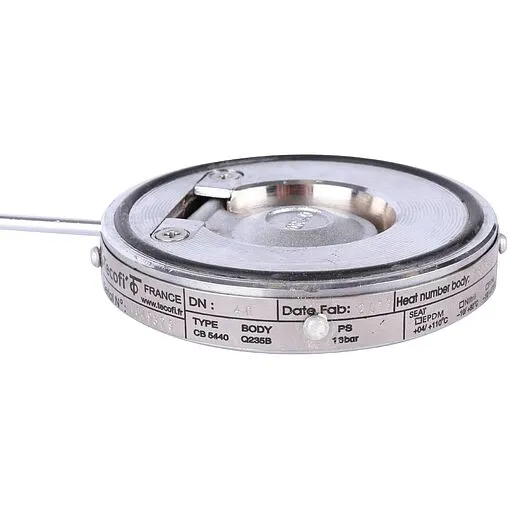 Клапан обратный поворотный одностворчатый межфланцевый Ду40 Ру16 Tecofi CB5440-0040