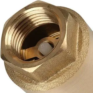 Клапан обратный пружинный 1"в x 1"в Wester CV-B2-1" Клапан обратный пружинный 1"в x 1"в Wester CV-B2-1", 3