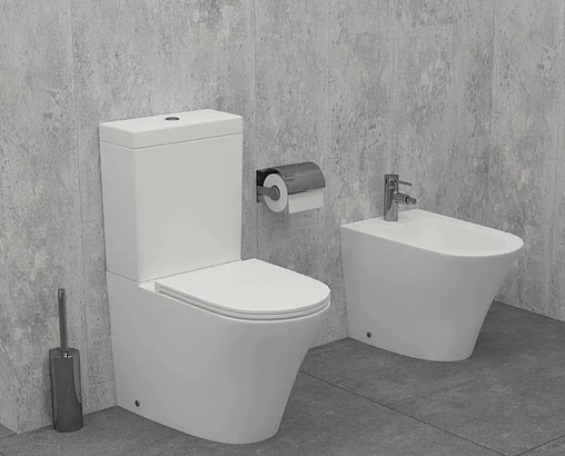 Биде напольное Jacob Delafon Rodin+ белый EBJ0002-00