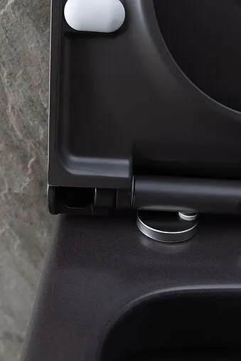 Унитаз подвесной безободковый Allen Brau Priority антрацит 4.31001.AN