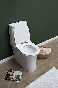 Унитаз-компакт безободковый Aquanet Roll-C Rimless белый Roll-C+Roll-C-1 Унитаз-компакт безободковый Aquanet Roll-C Rimless белый Roll-C+Roll-C-1, 4