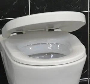 Крышка-сиденье для унитаза Ideal Standard Connect белый E712801 Крышка-сиденье для унитаза Ideal Standard Connect белый E712801, 2