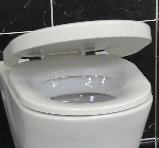 Крышка-сиденье для унитаза Ideal Standard Connect белый E712801 Крышка-сиденье для унитаза Ideal Standard Connect белый E712801