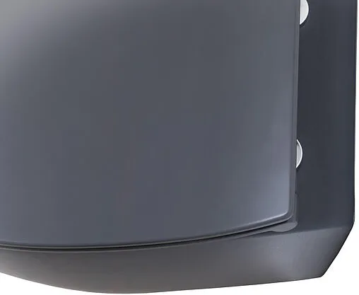 Унитаз подвесной безободковый Allen Brau Fantasy антрацит 4.11004.AN