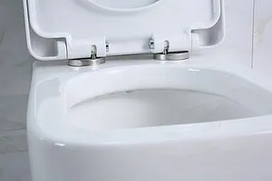 Унитаз подвесной безободковый BelBagno Veneto белый BB132CHR Унитаз подвесной безободковый BelBagno Veneto белый BB132CHR, 4