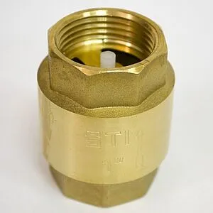 Клапан обратный пружинный 1&quot;в x 1&quot;в STI 03.05.STC0250, 3