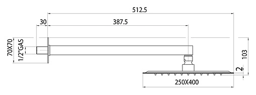 Лейка верхнего душа с настенным креплением Bossini Twiggy хром H69587H.030