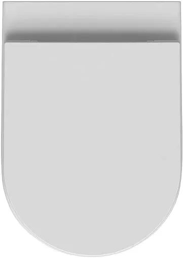 Унитаз приставной безободковый Allen Brau Reality белый 4.32004.20