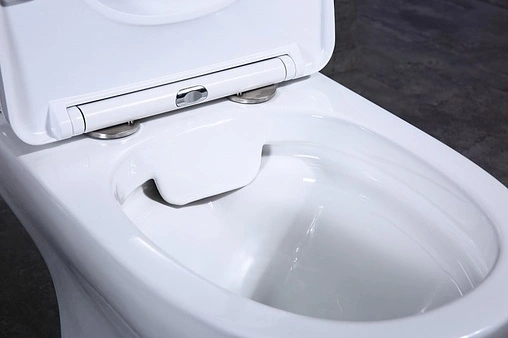 Унитаз-компакт безободковый BelBagno Steam белый BB130CPR+BB130T