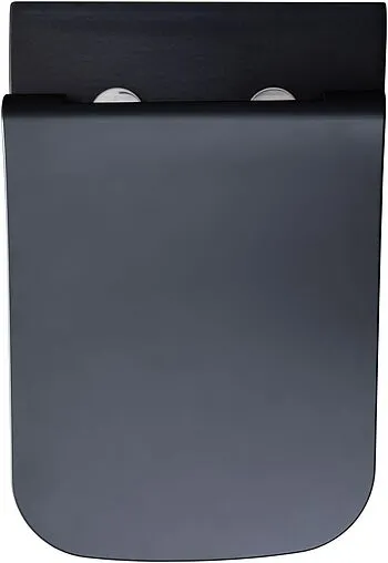 Унитаз подвесной безободковый Allen Brau Infinity черный матовый 4.21011.31