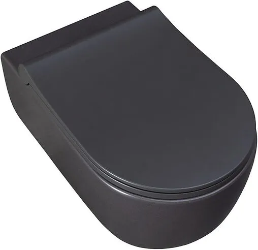 Унитаз подвесной безободковый Allen Brau Priority антрацит 4.31001.AN