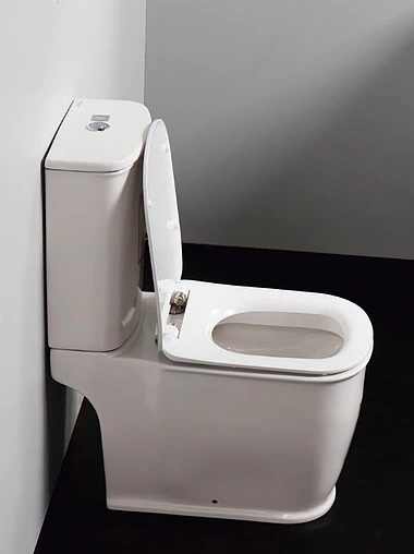 Унитаз-компакт безободковый BelBagno Prado белый BB10150CP+BB10150T