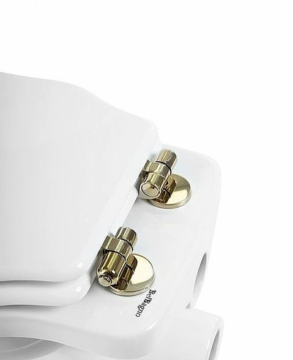 Крышка-сиденье для унитаза с микролифтом BelBagno Boheme белый BB115SCM-ORO