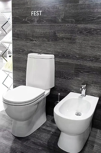 Унитаз-компакт Sanita Luxe Fest белый WC.CC/Fest/2-DM/WHT.G/S1