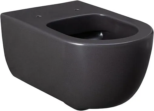 Унитаз подвесной безободковый Allen Brau Priority антрацит 4.31001.AN