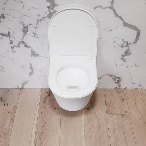 Унитаз подвесной безободковый Damixa Skyline белый DX35C1700SC Унитаз подвесной безободковый Damixa Skyline белый DX35C1700SC