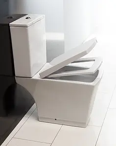 Крышка-сиденье для унитаза с микролифтом BelBagno Regina белый BB104SC, 2