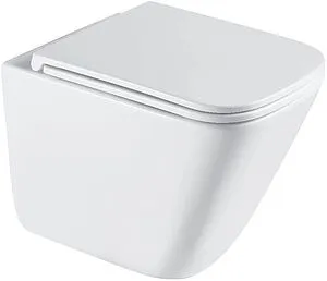 Унитаз подвесной безободковый Terminus Ватикан Monolit Tornado белый 03WM49x34W Унитаз подвесной безободковый Terminus Ватикан Monolit Tornado белый 03WM49x34W, 1