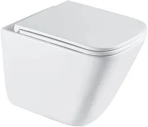 Унитаз подвесной безободковый Terminus Ватикан Monolit Tornado белый 03WM49x34W Унитаз подвесной безободковый Terminus Ватикан Monolit Tornado белый 03WM49x34W, 1