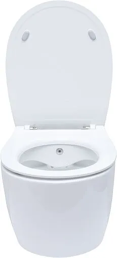 Унитаз подвесной безободковый с функцией биде и встроенным смесителем Allen Brau Fantasy белый 4.11HC1.20