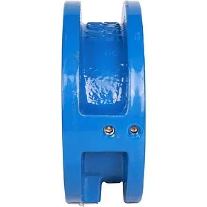 Клапан обратный поворотный двустворчатый межфланцевый Ду65 Ру16 Tecofi CB3448N-EP0065, 5