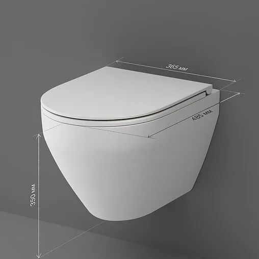 Унитаз подвесной безободковый Am.Pm Spirit 2.0 FlashClean белый матовый C701700MWSC Унитаз подвесной безободковый Am.Pm Spirit 2.0 FlashClean белый матовый C701700MWSC