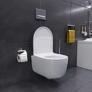 Унитаз подвесной безободковый Damixa Sirius белый DX86C1700SC Унитаз подвесной безободковый Damixa Sirius белый DX86C1700SC, 5