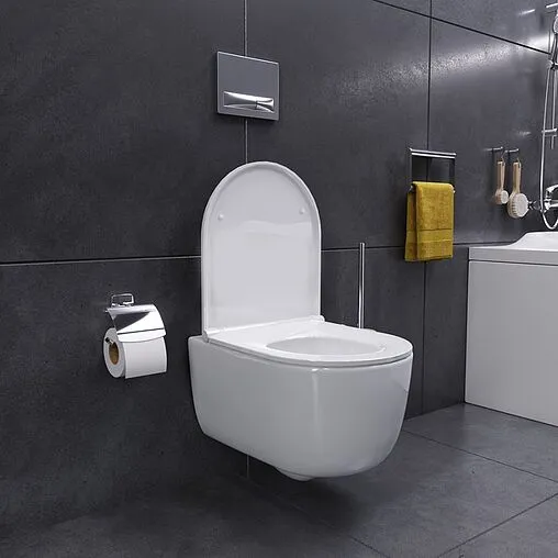 Унитаз подвесной безободковый Damixa Sirius белый DX86C1700SC Унитаз подвесной безободковый Damixa Sirius белый DX86C1700SC