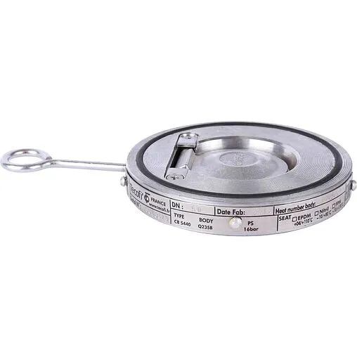 Клапан обратный поворотный одностворчатый межфланцевый Ду50 Ру16 Tecofi CB5440-0050