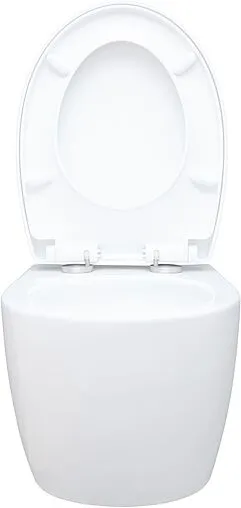 Унитаз подвесной безободковый Aquanet Zvezda Rimless белый ZV-1 Унитаз подвесной безободковый Aquanet Zvezda Rimless белый ZV-1