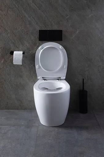 Унитаз приставной безободковый Allen Brau Fantasy белый 4.11007.20