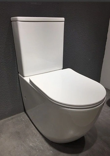 Унитаз-компакт Bravat Gina белый CX01008UW