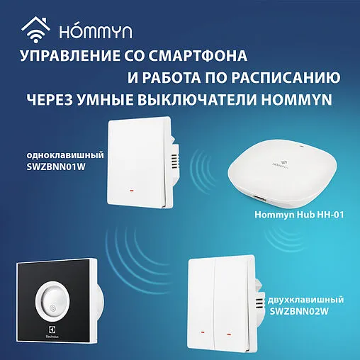 Вентилятор вытяжной Electrolux RAINBOW EAFR-100 dark