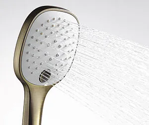 Лейка ручного душа Wasserkraft бронза A050 Лейка ручного душа Wasserkraft бронза A050, 5