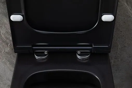 Унитаз подвесной безободковый Allen Brau Priority черный матовый 4.31002.31