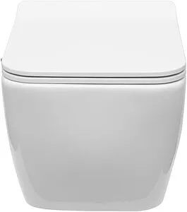 Унитаз подвесной безободковый с функцией биде и встроенным смесителем Allen Brau Liberty белый 4.33009.20, 4