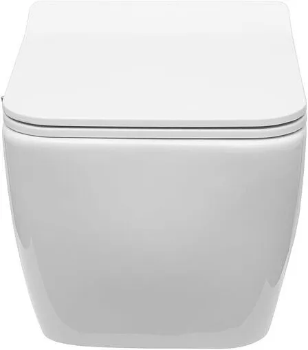 Унитаз подвесной безободковый с функцией биде и встроенным смесителем Allen Brau Liberty белый 4.33009.20