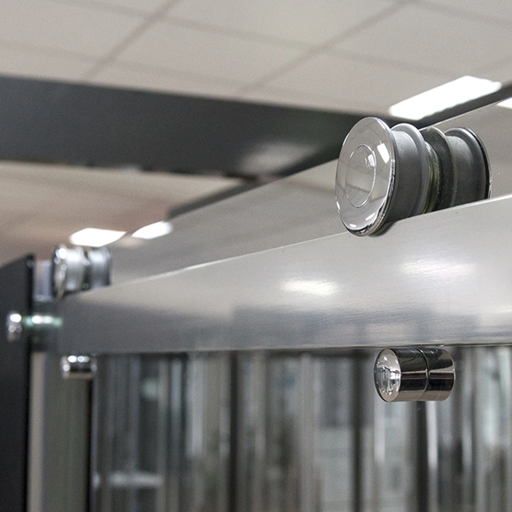 Дверь в нишу 1200мм прозрачное стекло Roltechnik Ambient Line AMD2/1200 620-1200000-00-02