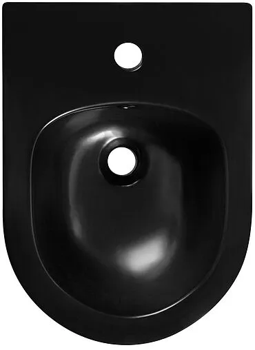 Биде подвесное Aquatek Мия черный матовый AQ1004-MB
