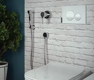 Гигиенический душ со смесителем Jacob Delafon Elate хром E24610-CP, 3