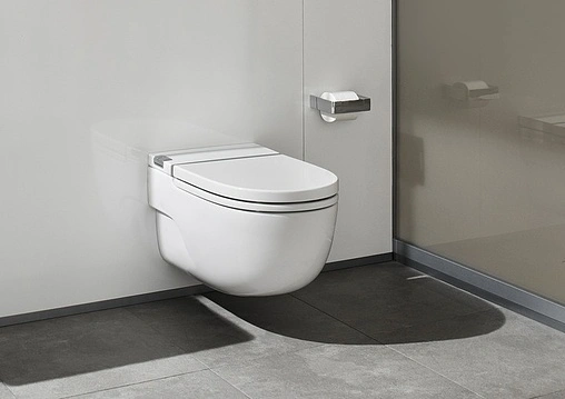 Унитаз подвесной Roca Meridian In-Tank I белый 893302000