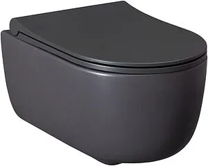 Унитаз подвесной безободковый Allen Brau Priority антрацит 4.31002.AN, 1